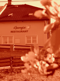 georgia restaurant kontakt